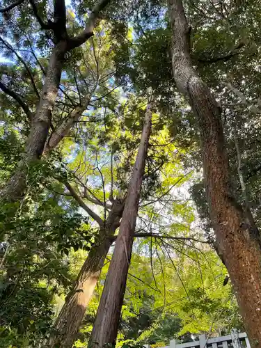 泉神社(茨城県)