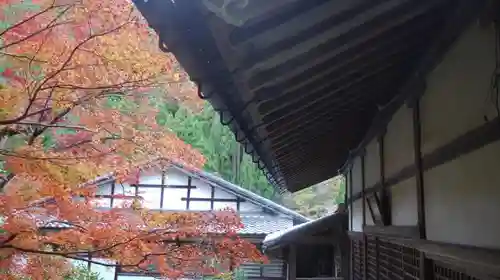 吟松寺の自然