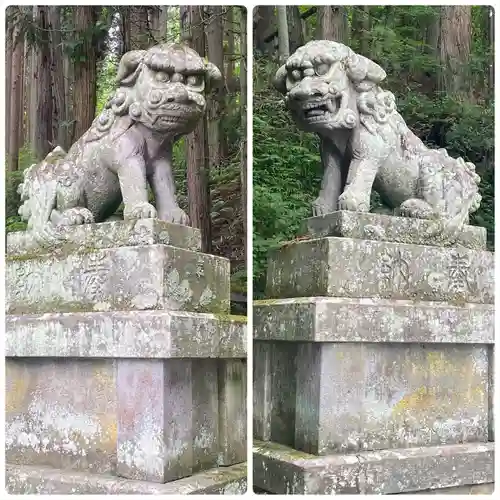 戸隠神社宝光社の狛犬