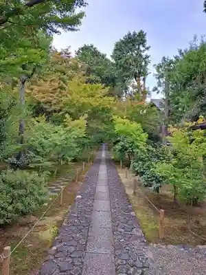 鹿王院(京都府)