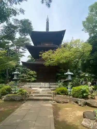 豪徳寺(東京都)