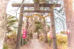 多賀神社(宮城県)