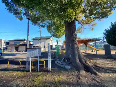 母衣輪神社(栃木県)