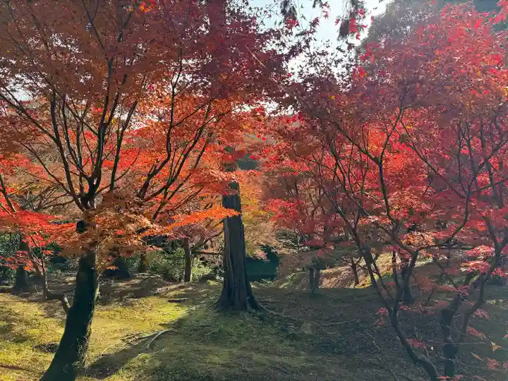 東福禅寺(東福寺)(京都府)
