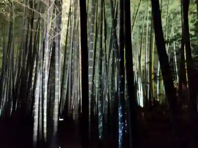 高台寺（高台寿聖禅寺・高臺寺）(京都府)