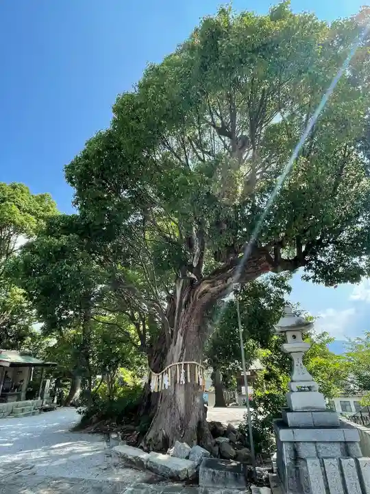 風治八幡宮(福岡県)