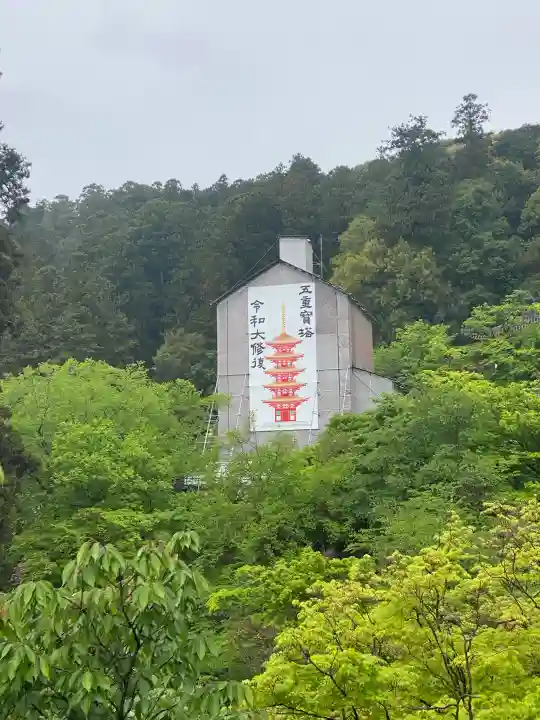 長谷寺の{uncategorized: "未分類", other: "その他", undefined: "問題あり", building: "その他建物", grave: "お墓", sacred_gate: "鳥居", guardian: "狛犬", statue: "像", buddha: "仏像", history: "歴史", nature: "自然", garden: "庭園", animal: "動物", pagoda: "塔", temizu: "手水舎", mountain_gate: "山門・神門", sanctuary: "本殿・本堂", subordinate: "末社・摂社", art: "芸術", scenery: "景色", jizo: "地蔵", ema: "絵馬", goshuin: "御朱印", omikuji: "おみくじ", items: "授与品その他", amulet: "お守り", goshuincho: "御朱印帳", eats: "食事", festival: "お祭り", votive_dance: "神楽", shichigosan: "七五三参", wedding: "結婚式", experience: "体験その他", initially: "初詣", around: "周辺", anti_infection: "感染症対策"}