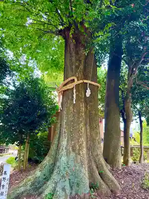 出雲大社相模分祠(神奈川県)
