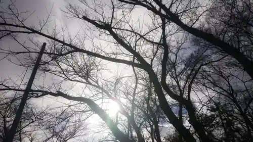 神明社（国府宮神明社）の自然