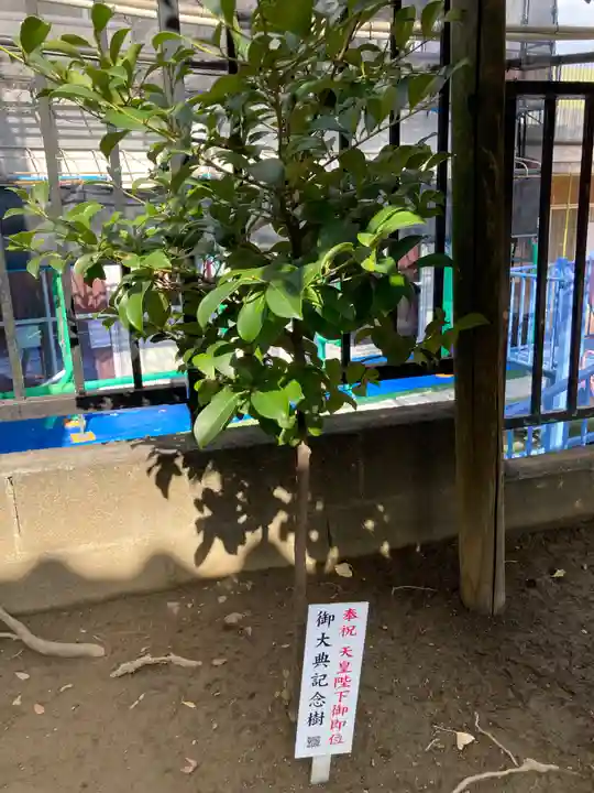杉田八幡神社(杉田八幡宮)(神奈川県)