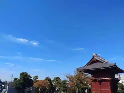 徳願寺のその他建物