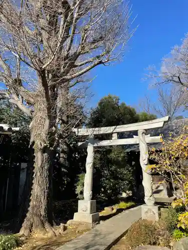 高円寺(東京都)