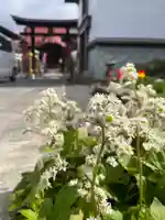 大鏑神社(福島県)