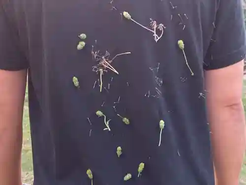 蓮久寺(千葉県)