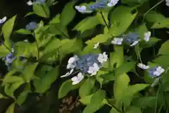 大六天麻王神社の庭園