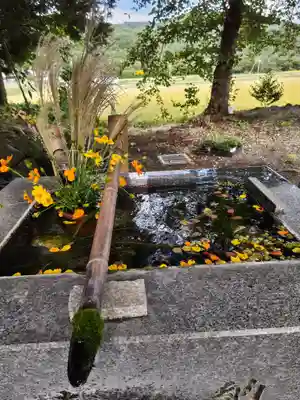 高司神社〜むすびの神の鎮まる社〜の手水舎