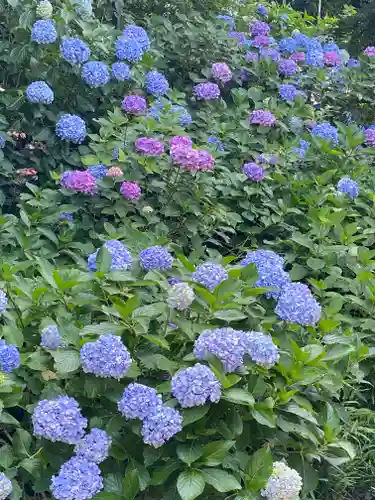妙楽寺(神奈川県)