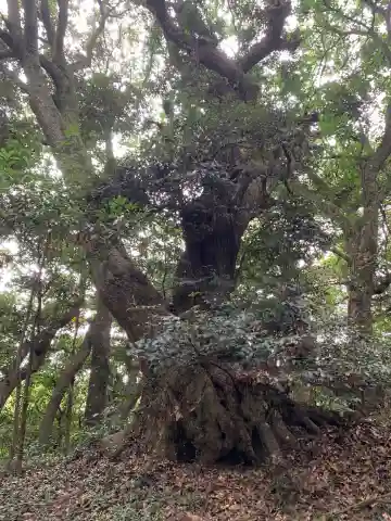 稲荷神社(千葉県)