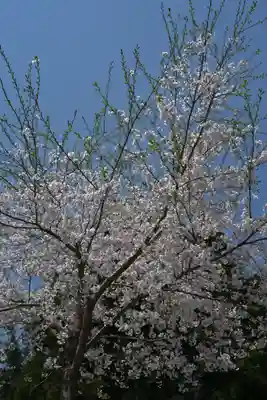 妙高寺(新潟県)