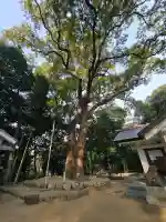 垂水神社の{uncategorized: "未分類", other: "その他", undefined: "問題あり", building: "その他建物", grave: "お墓", sacred_gate: "鳥居", guardian: "狛犬", statue: "像", buddha: "仏像", history: "歴史", nature: "自然", garden: "庭園", animal: "動物", pagoda: "塔", temizu: "手水舎", mountain_gate: "山門・神門", sanctuary: "本殿・本堂", subordinate: "末社・摂社", art: "芸術", scenery: "景色", jizo: "地蔵", ema: "絵馬", goshuin: "御朱印", omikuji: "おみくじ", items: "授与品その他", amulet: "お守り", goshuincho: "御朱印帳", eats: "食事", festival: "お祭り", votive_dance: "神楽", shichigosan: "七五三参", wedding: "結婚式", experience: "体験その他", initially: "初詣", around: "周辺", anti_infection: "感染症対策"}