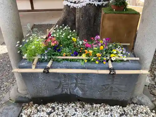 上目黒氷川神社の手水舎