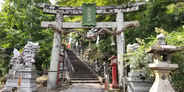 桑田神社(京都府)