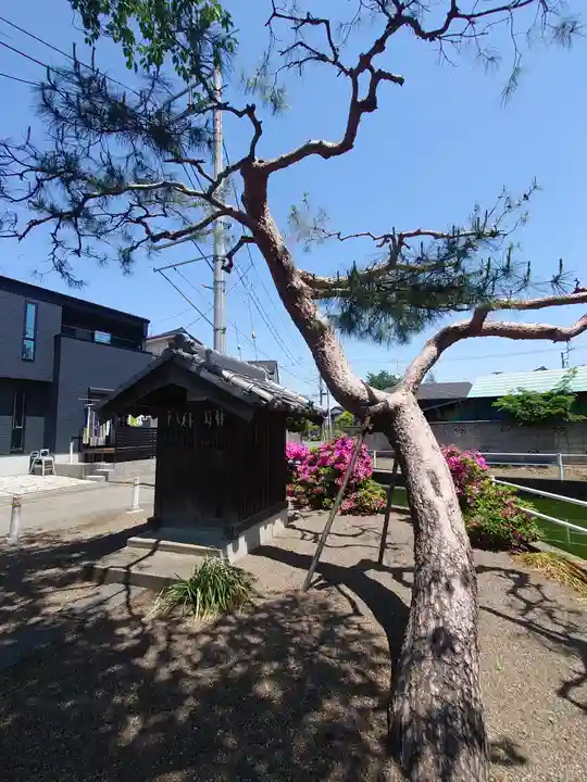 厳島神社(埼玉県)