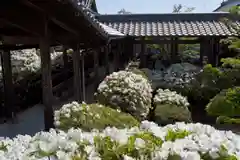 法雲寺の建物その他