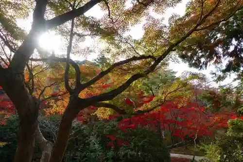 興福寺の庭園