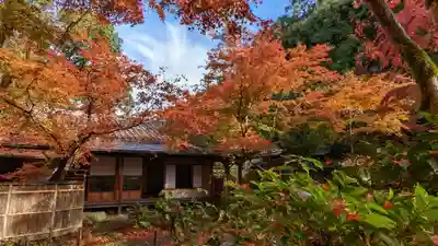 来迎院(京都府)