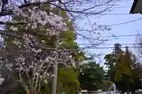 杉山社(神奈川県)