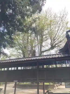 野木神社(栃木県)