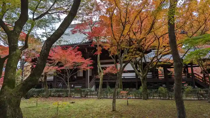 真正極楽寺(真如堂)(京都府)