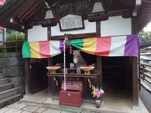 金乗院放光寺の本殿・本堂