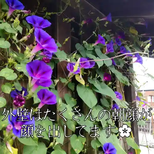 七重浜海津見神社の自然