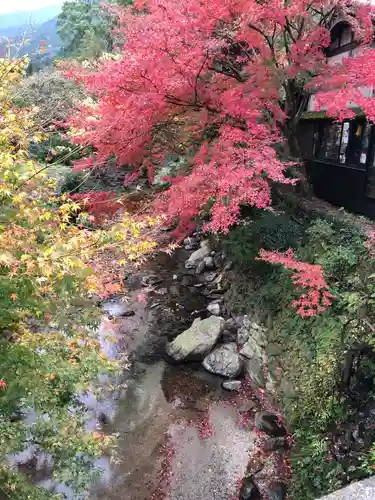 垂裕神社の自然