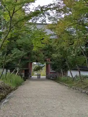 醍醐寺(京都府)