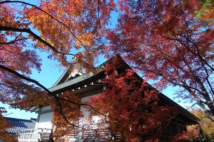 三千院門跡の本殿・本堂