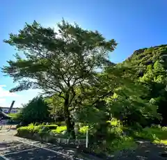 岐阜護國神社(岐阜県)