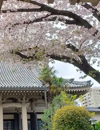 報恩寺(東京都)