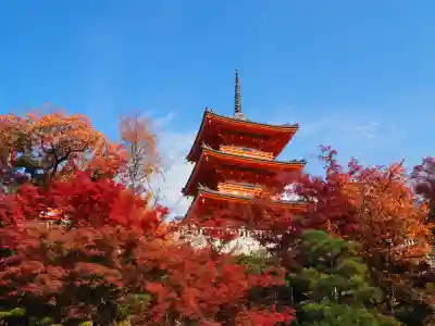 清水寺(京都府)