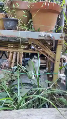 浄瑠璃寺(京都府)