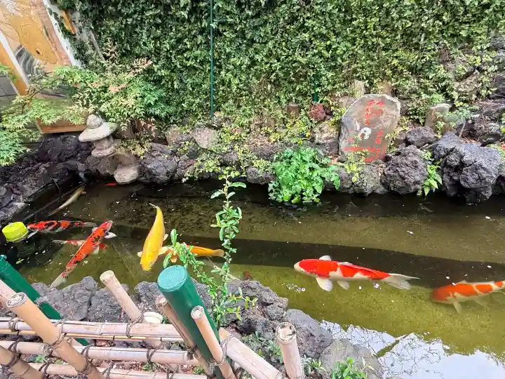 吉原神社の{uncategorized: "未分類", other: "その他", undefined: "問題あり", building: "その他建物", grave: "お墓", sacred_gate: "鳥居", guardian: "狛犬", statue: "像", buddha: "仏像", history: "歴史", nature: "自然", garden: "庭園", animal: "動物", pagoda: "塔", temizu: "手水舎", mountain_gate: "山門・神門", sanctuary: "本殿・本堂", subordinate: "末社・摂社", art: "芸術", scenery: "景色", jizo: "地蔵", ema: "絵馬", goshuin: "御朱印", omikuji: "おみくじ", items: "授与品その他", amulet: "お守り", goshuincho: "御朱印帳", eats: "食事", festival: "お祭り", votive_dance: "神楽", shichigosan: "七五三参", wedding: "結婚式", experience: "体験その他", initially: "初詣", around: "周辺", anti_infection: "感染症対策"}
