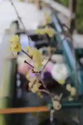 伊和志津神社の手水舎