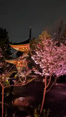 知恩院(京都府)