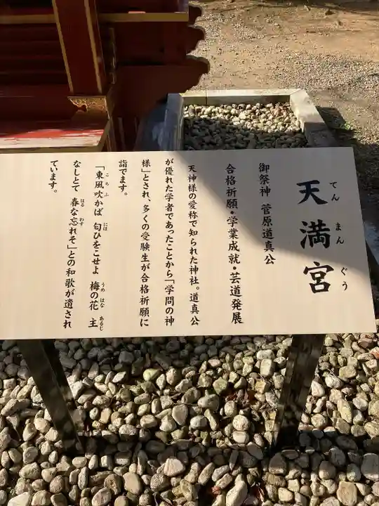 大杉神社(茨城県)