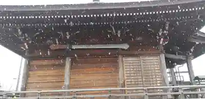 泉竜寺(乙女不動尊)(栃木県)