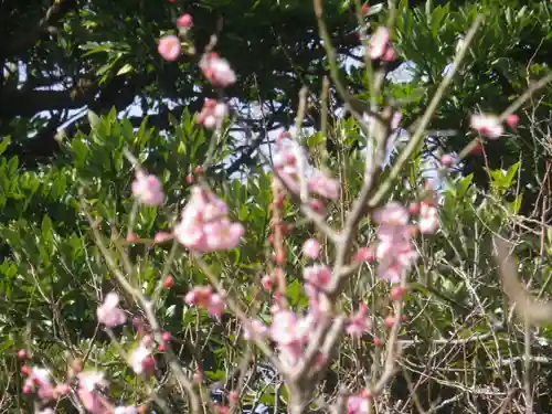 荏柄天神社の自然