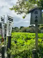 旗上弁財天社の自然