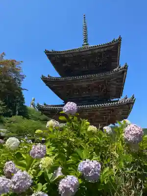 南法華寺（壷阪寺）(奈良県)